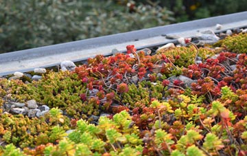 the cost of Grateley green roof installation