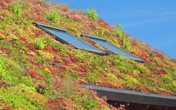 Grateley living roof systems